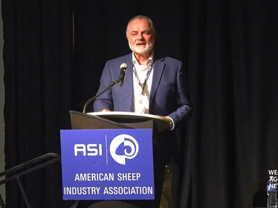 ASI Convention Highlights IWTO’s 2026 “Green Book,” Showcasing Wool’s Verified Sustainability