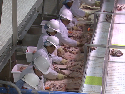 Senate Democrats' Bill Targets Packers