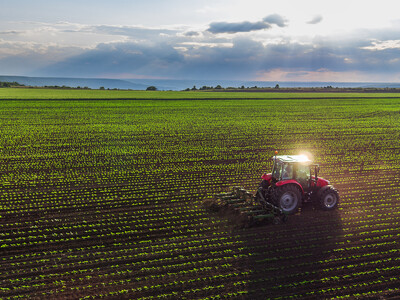 Informed Planting Decisions Needed to Optimize Productivity