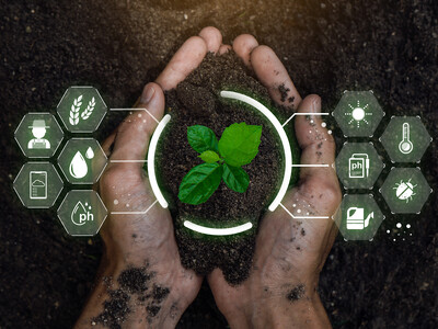 Crop Selection and Screening Moving to AI