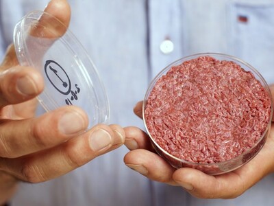 Court Decision Upholds Florida's Ban on Lab-Grown Meat