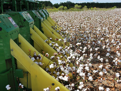 USDA Announces Payments Under Cotton and Wool Trust Funds