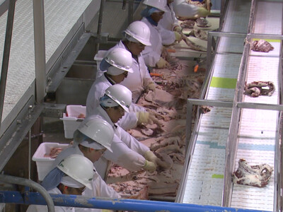 DOJ Confirms Probe Into Beef Processors