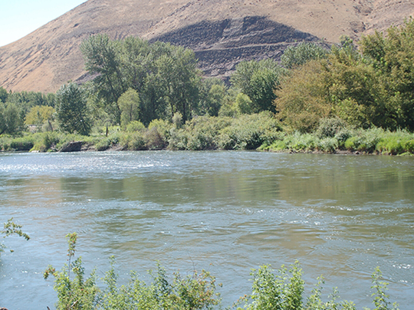 Water Management in Drought