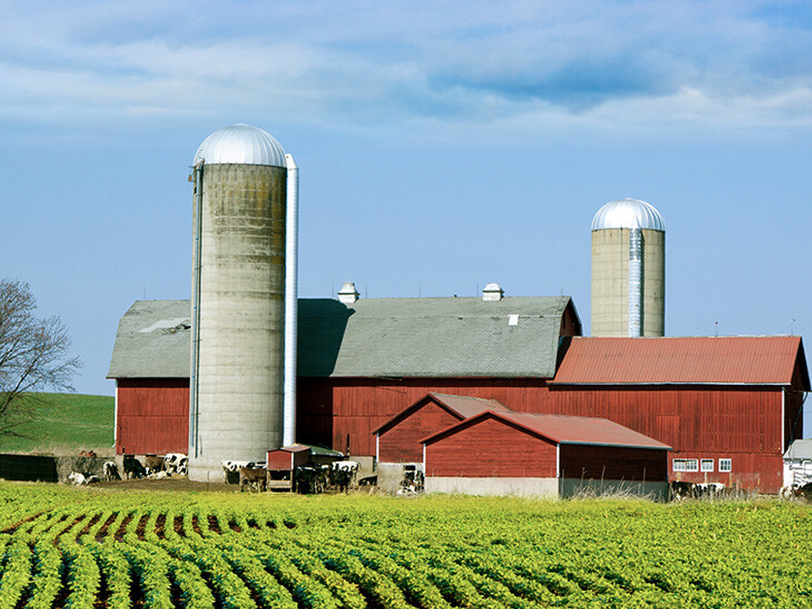 Farm Poll on Calls to D.C.