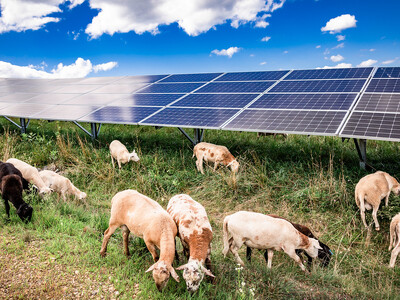 Solar Restrictions in Farm Bill Draw Concern From Rural Landowners