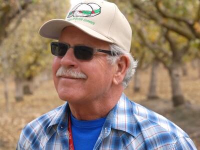 Walnut Industry Hurting Bad Due to Oversupply