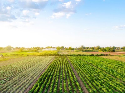 National Farmers Union Calls on Senate to Pass a Farm Bill