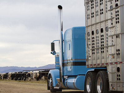 NCBA Looks for More Efficient Cattle Hauling Rules