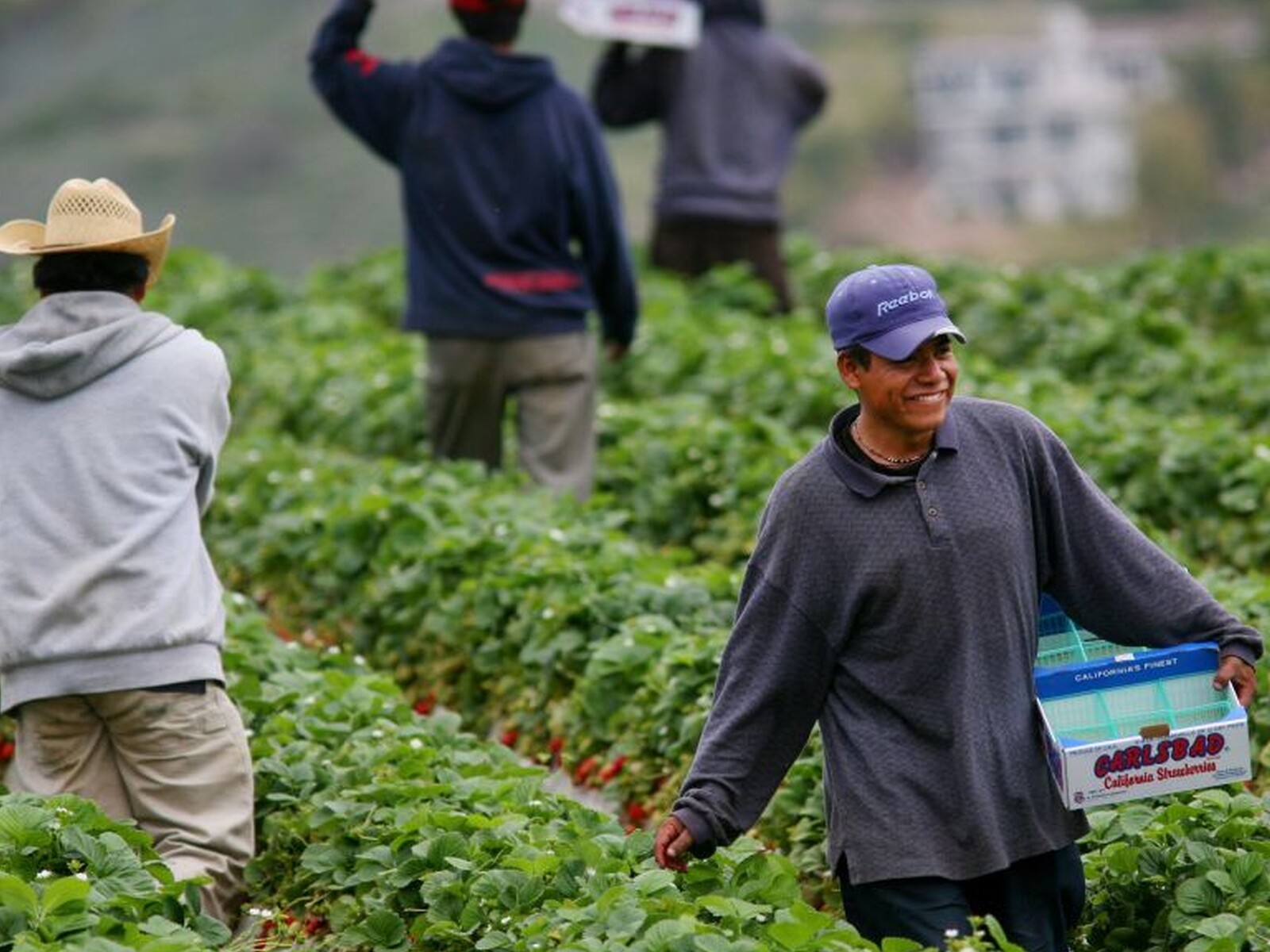 Codify H-2A Wage Rates
