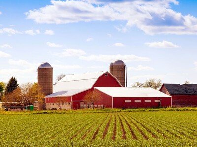 R-CALF Farm Bill Priorities