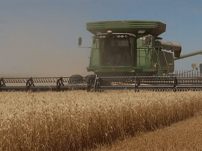 Input Costs Going Higher in 2027