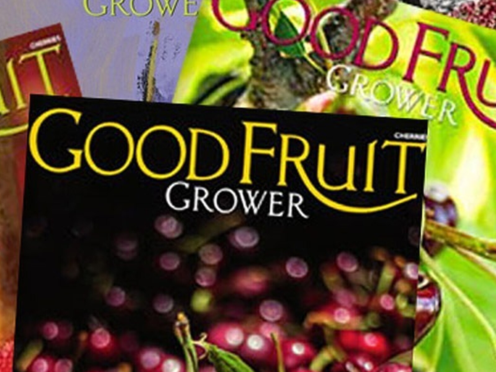 Good Fruit Grower Updates