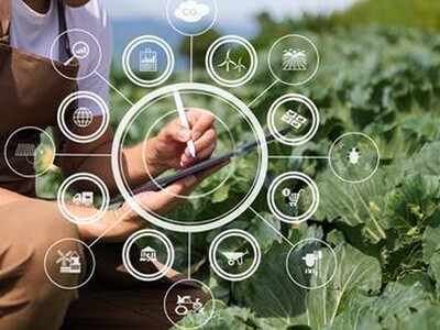 Digital Acreage Reporting