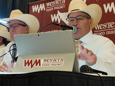 Historic Cattle Market Drives Excitement at Western Video Market's July Sale