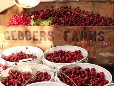Gebbers Farm Bankruptcy