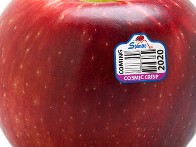 Cosmic Crisp Developed Naturally