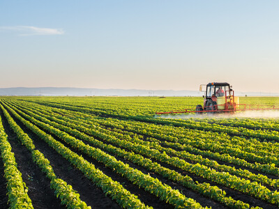 US Ag Land Vales Rise, Cash Rents Remain Steady
