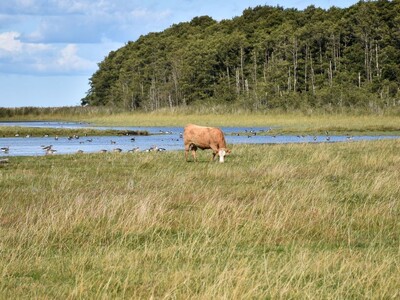 Pasture Management Tool, Farmer Sentiment Up