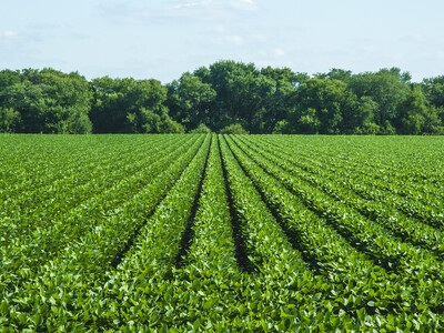 U.S. Cropland Value Surpasses $6,000 Per Acre for First Time