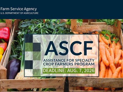 ASCF Deadline August 7