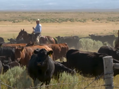 New Resource Helps Farming and Ranching Families Transition to Next Generation