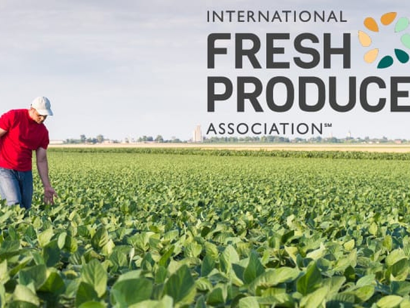 Ag Labor Needs