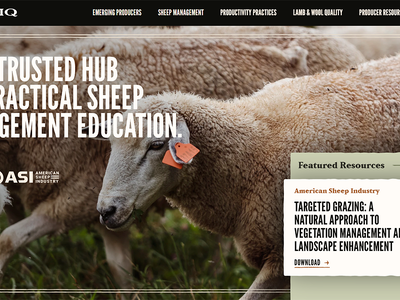 New Sheep IQ Website Puts Producer Resources In One Place