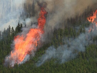 Wildfire Management