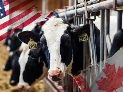 U.S. Dairy to Canada