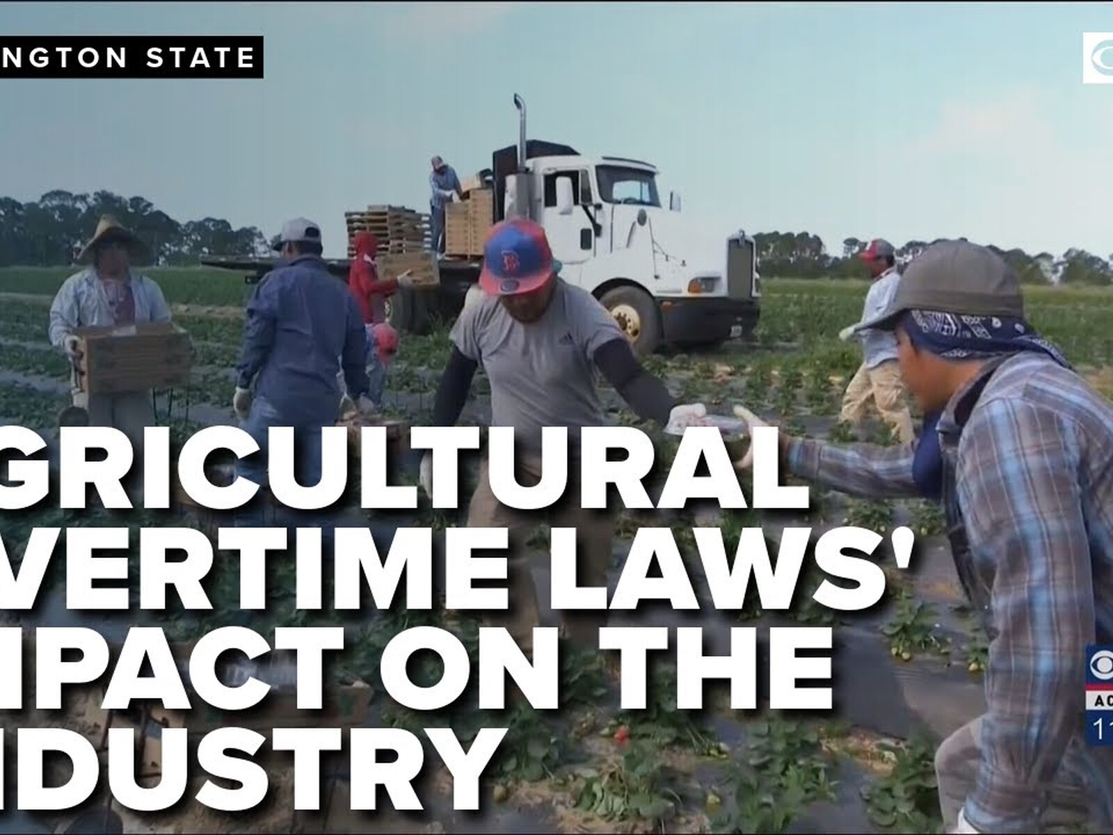 Ag Overtime Study by WSU & CLL