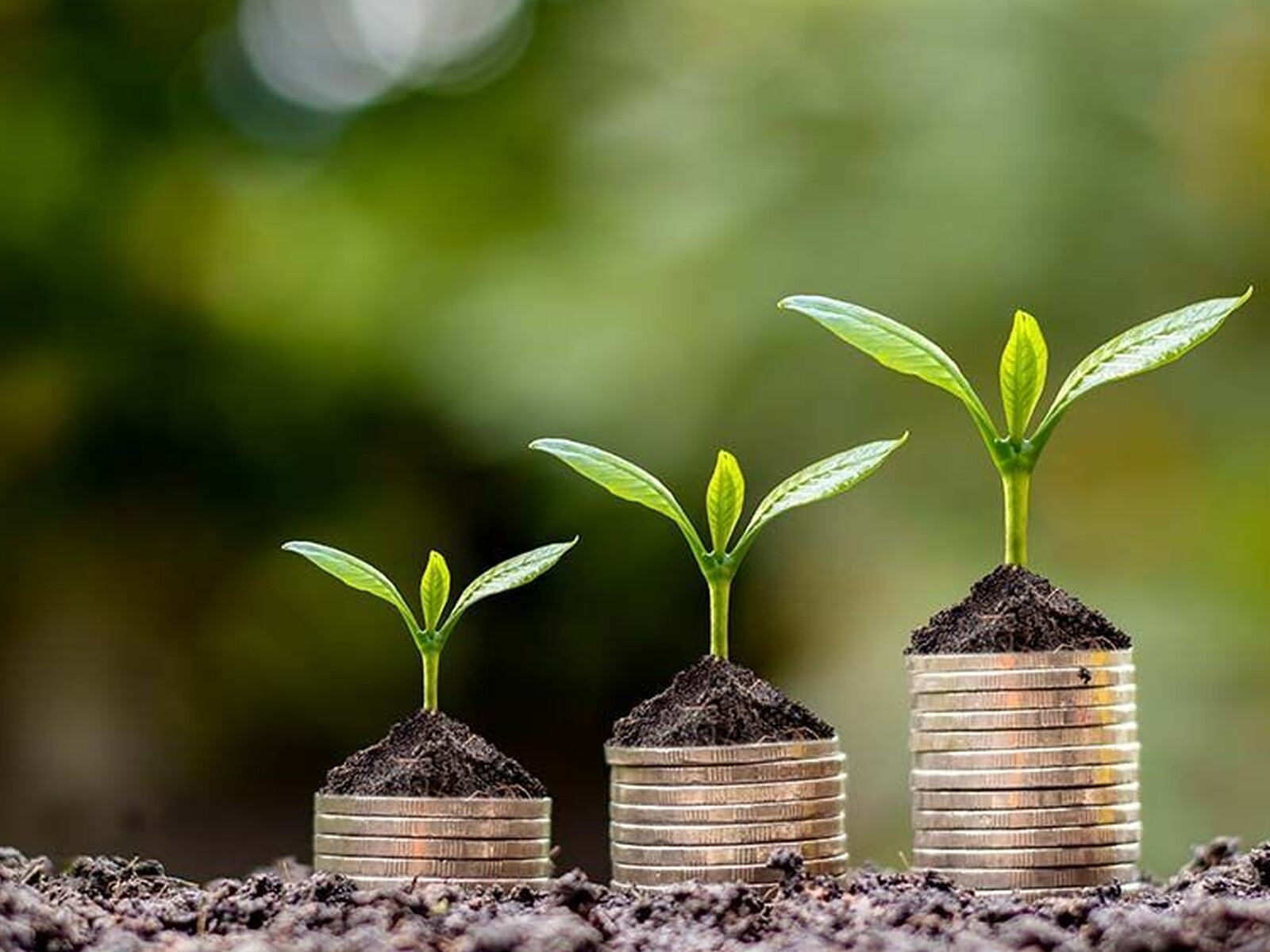 Earned Income Goes Up in Washington