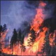 Reducing Wildfires