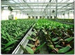 Colorado Food Security